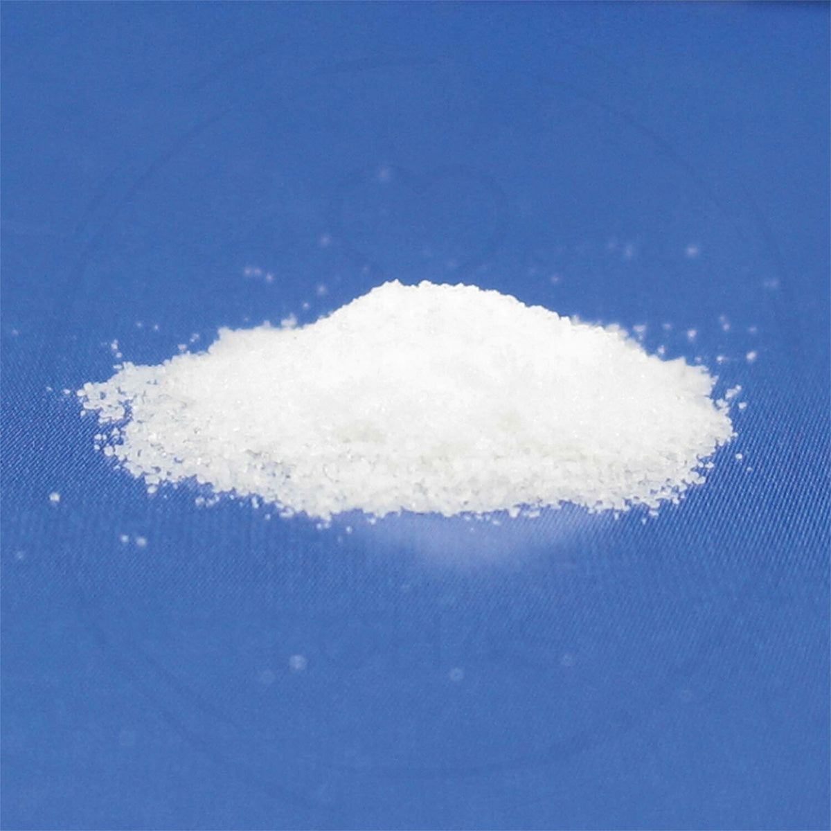 Taurus 寵物腸胃益生菌營養補充劑(貓狗適當) 含有雙歧桿菌