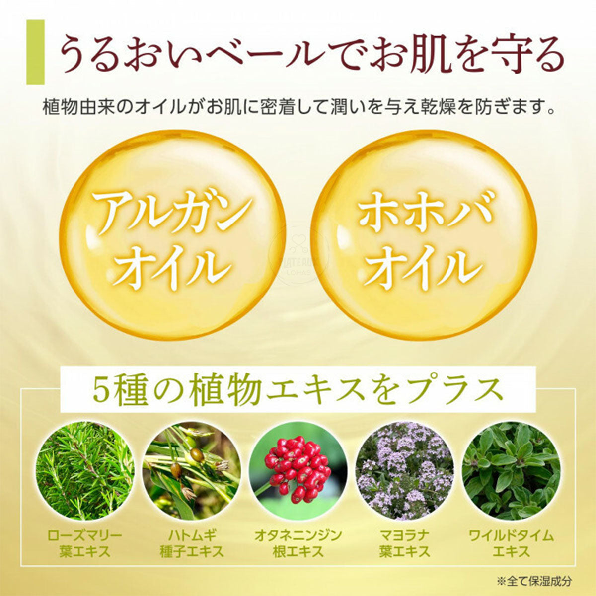 Buhna腳跟死皮柔軟霜 | 日本製造