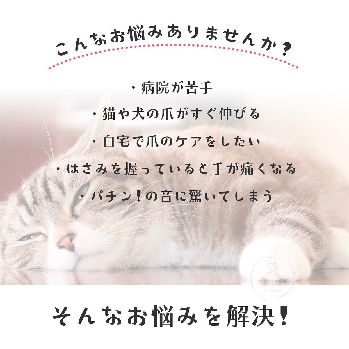 product_n寵物指甲鉗(附爪套)Pet nail clippers (with paw cap)寵物指甲鉗(附爪套)Pet nail clippers (with paw cap)寵物指甲鉗(附爪套)Pet nail clippers (with paw cap)寵物指甲鉗(附爪套)Pet nail clippers (with paw cap)寵物指甲鉗(附爪套)Pet nail clippers (with paw cap)ame - 東瀛本物 PLJ BY PLATEAUX