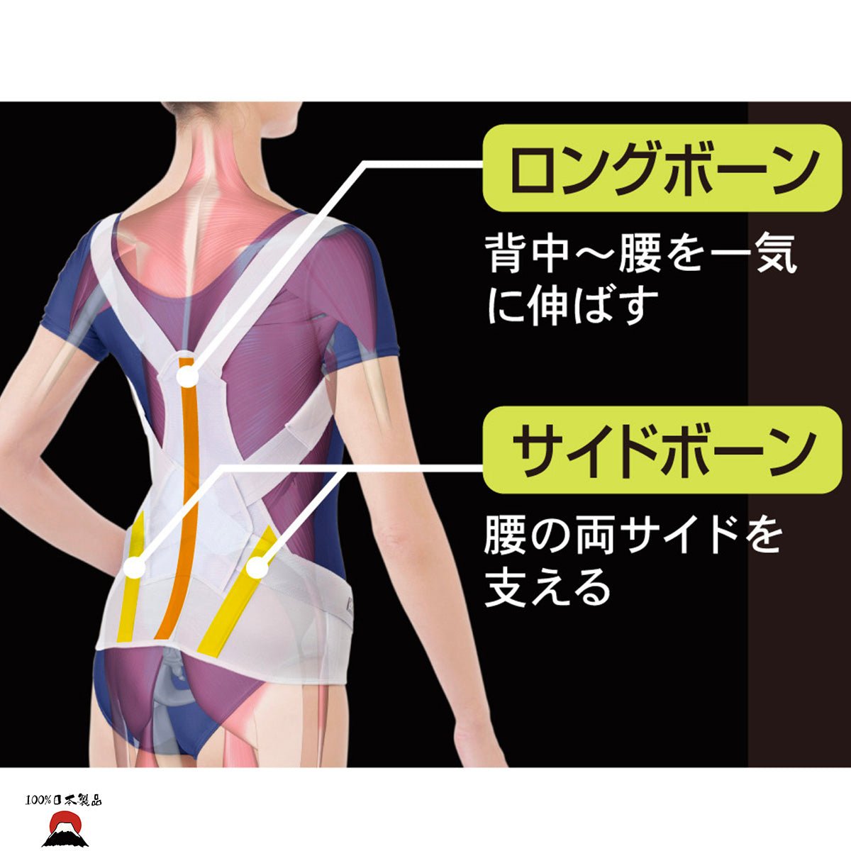 product_n日本製 醫學脊椎姿勢矯正腰帶日本製 醫學脊椎姿勢矯正腰帶日本製 醫學脊椎姿勢矯正腰帶日本製 醫學脊椎姿勢矯正腰帶日本製 醫學脊椎姿勢矯正腰帶ame - 東瀛本物 PLJ BY PLATEAUX