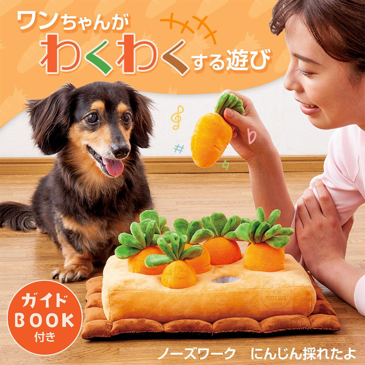 寵物益智玩具嗅聞墊